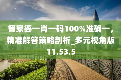 管家婆一肖一码100%准确一，精准解答策略剖析_多元视角版11.53.5