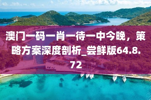 澳门一码一肖一待一中今晚，策略方案深度剖析_尝鲜版64.8.72