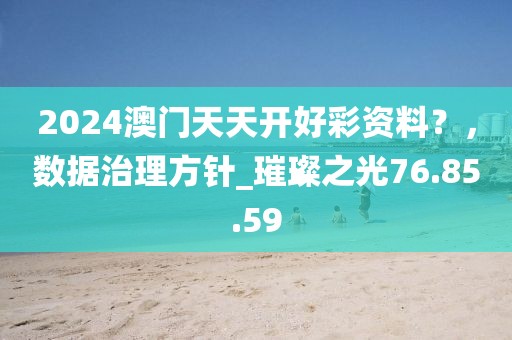 2024澳门天天开好彩资料？，数据治理方针_璀璨之光76.85.59