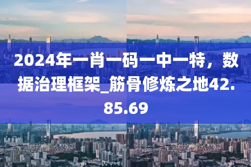 2024年一肖一码一中一特，数据治理框架_筋骨修炼之地42.85.69