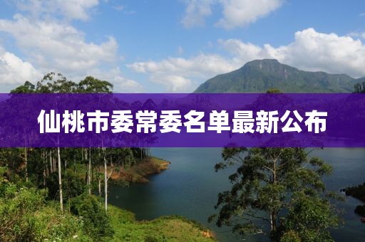 仙桃市委常委名单最新公布