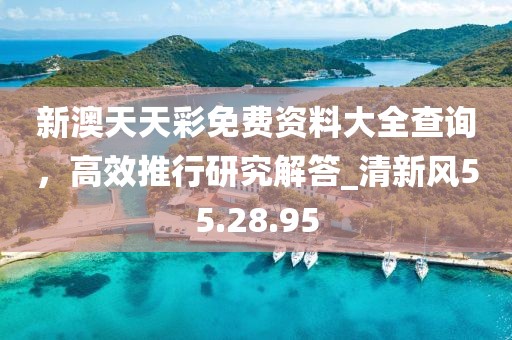 新澳天天彩免费资料大全查询，高效推行研究解答_清新风55.28.95