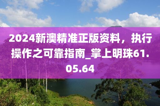 2024新澳精准正版资料，执行操作之可靠指南_掌上明珠61.05.64