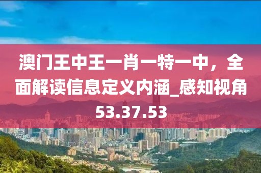 澳门王中王一肖一特一中，全面解读信息定义内涵_感知视角53.37.53