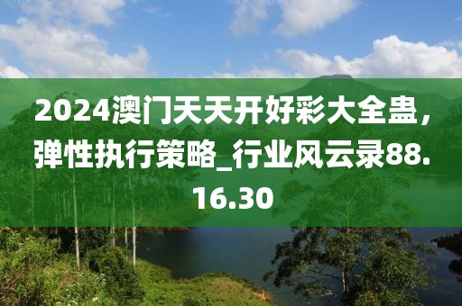 2024澳门天天开好彩大全蛊，弹性执行策略_行业风云录88.16.30