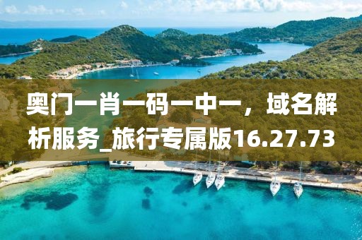 奥门一肖一码一中一，域名解析服务_旅行专属版16.27.73