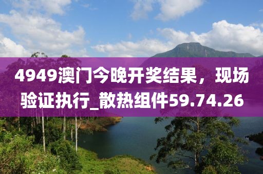 4949澳门今晚开奖结果，现场验证执行_散热组件59.74.26