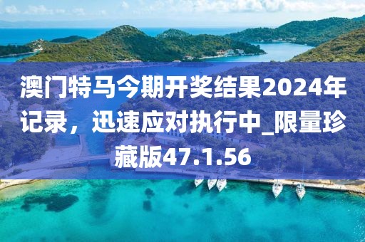 澳门特马今期开奖结果2024年记录，迅速应对执行中_限量珍藏版47.1.56