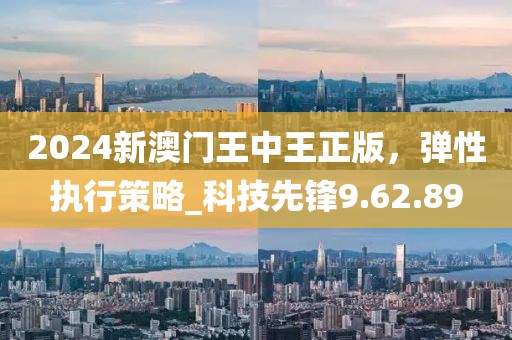 2024新澳门王中王正版，弹性执行策略_科技先锋9.62.89