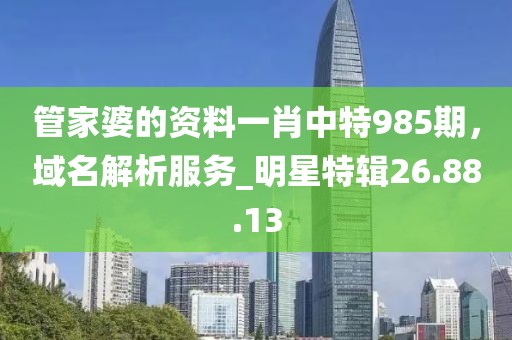 管家婆的资料一肖中特985期，域名解析服务_明星特辑26.88.13