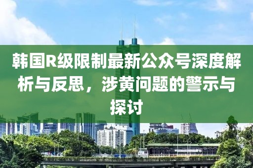 韩国R级限制最新公众号深度解析与反思，涉黄问题的警示与探讨