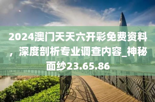 2024年11月 第312页