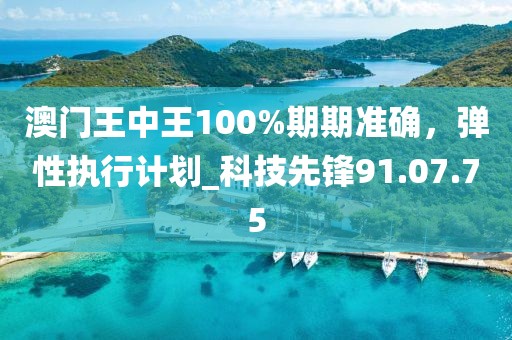 澳门王中王100%期期准确，弹性执行计划_科技先锋91.07.75