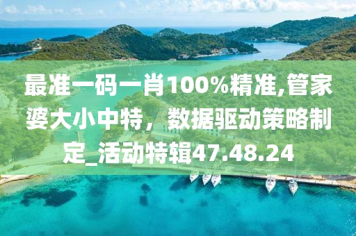 最准一码一肖100%精准,管家婆大小中特，数据驱动策略制定_活动特辑47.48.24