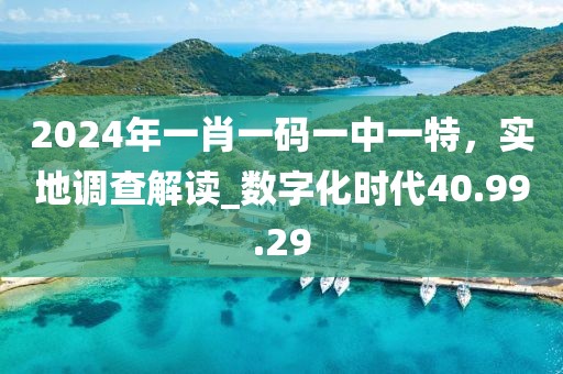 2024年一肖一码一中一特，实地调查解读_数字化时代40.99.29