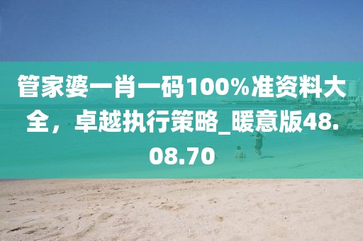 管家婆一肖一码100%准资料大全，卓越执行策略_暖意版48.08.70