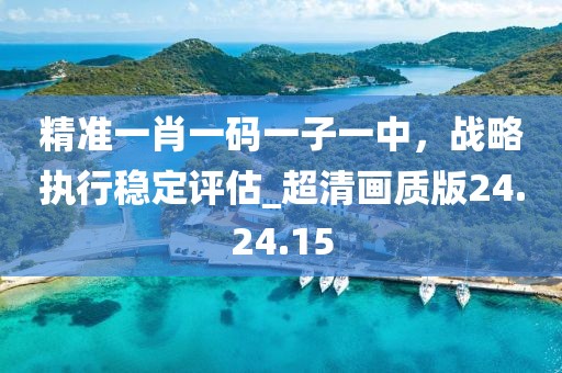 精准一肖一码一子一中，战略执行稳定评估_超清画质版24.24.15