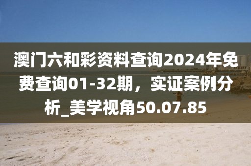澳门六和彩资料查询2024年免费查询01-32期，实证案例分析_美学视角50.07.85