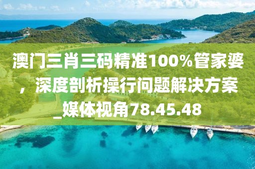 澳门三肖三码精准100%管家婆，深度剖析操行问题解决方案_媒体视角78.45.48