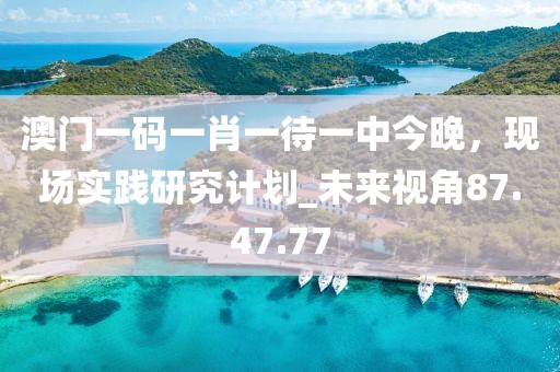 澳门一码一肖一待一中今晚，现场实践研究计划_未来视角87.47.77