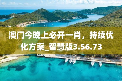 澳门今晚上必开一肖，持续优化方案_智慧版3.56.73