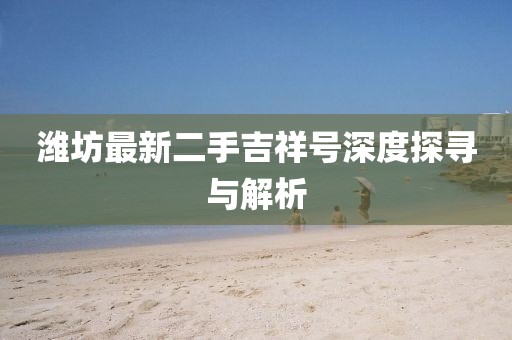 潍坊最新二手吉祥号深度探寻与解析