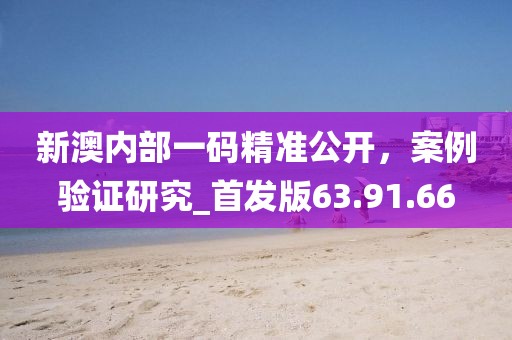 新澳内部一码精准公开，案例验证研究_首发版63.91.66