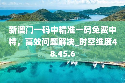 新澳门一码中精准一码免费中特，高效问题解决_时空维度48.45.6