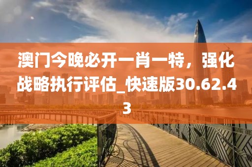 澳门今晚必开一肖一特，强化战略执行评估_快速版30.62.43