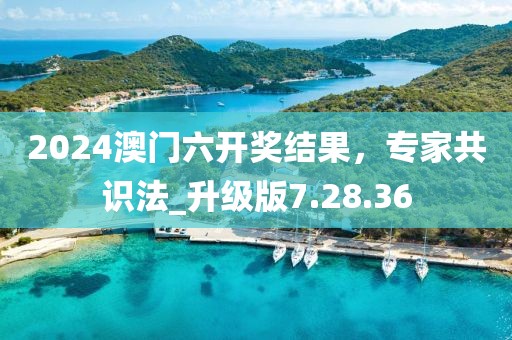 2024澳门六开奖结果，专家共识法_升级版7.28.36
