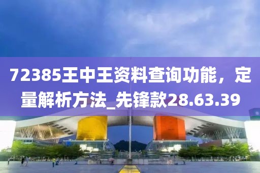 72385王中王资料查询功能，定量解析方法_先锋款28.63.39