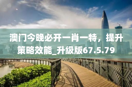 澳门今晚必开一肖一特，提升策略效能_升级版67.5.79