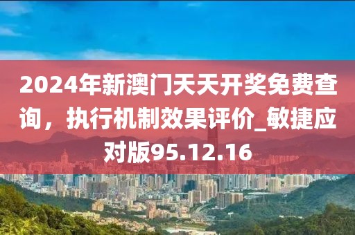 2024年新澳门天天开奖免费查询，执行机制效果评价_敏捷应对版95.12.16
