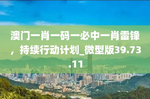 澳门一肖一码一必中一肖雷锋，持续行动计划_微型版39.73.11