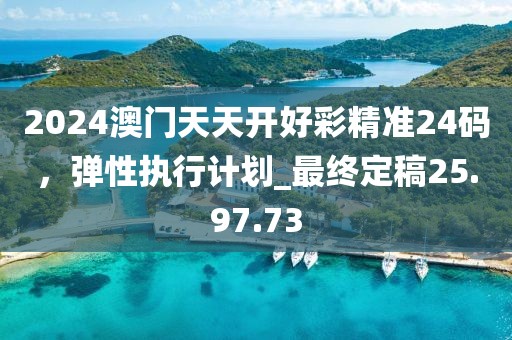 2024澳门天天开好彩精准24码，弹性执行计划_最终定稿25.97.73