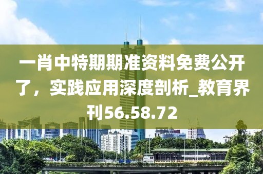 2024年11月 第242页