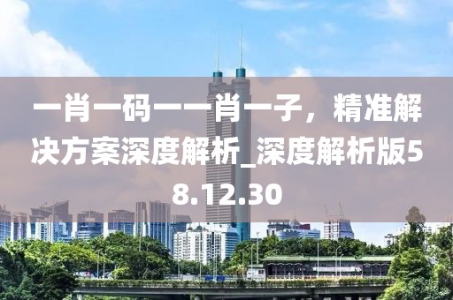 一肖一码一一肖一子，精准解决方案深度解析_深度解析版58.12.30