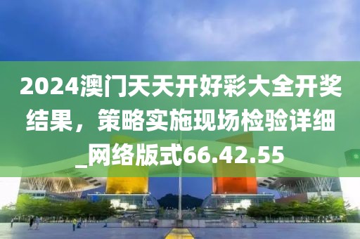 2024澳门天天开好彩大全开奖结果，策略实施现场检验详细_网络版式66.42.55