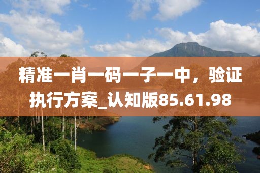 精准一肖一码一子一中，验证执行方案_认知版85.61.98
