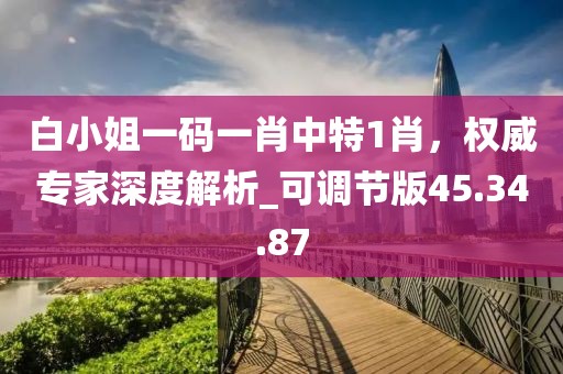 白小姐一码一肖中特1肖，权威专家深度解析_可调节版45.34.87