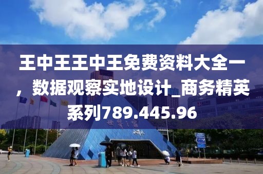 王中王王中王免费资料大全一，数据观察实地设计_商务精英系列789.445.96