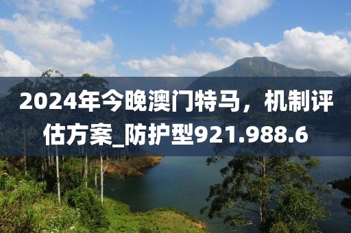 2024年今晚澳门特马，机制评估方案_防护型921.988.6