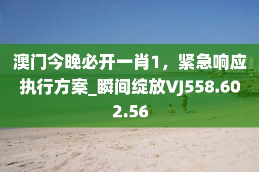 2024年11月 第213页
