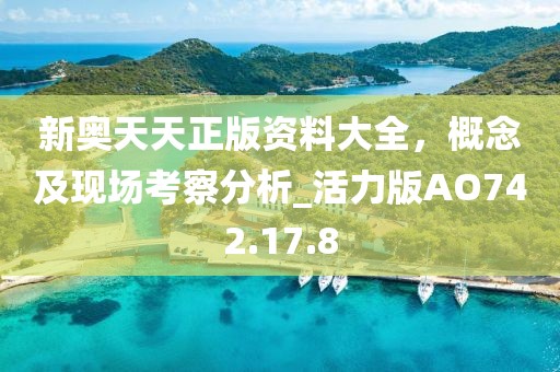 新奥天天正版资料大全，概念及现场考察分析_活力版AO742.17.8