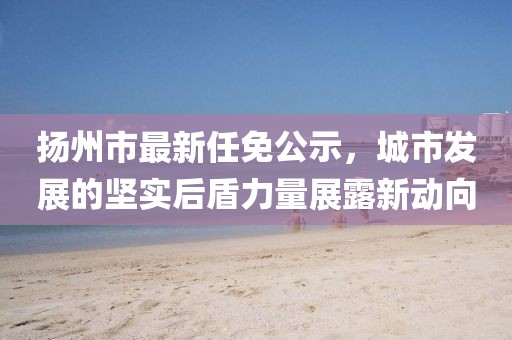 扬州市最新任免公示，城市发展的坚实后盾力量展露新动向