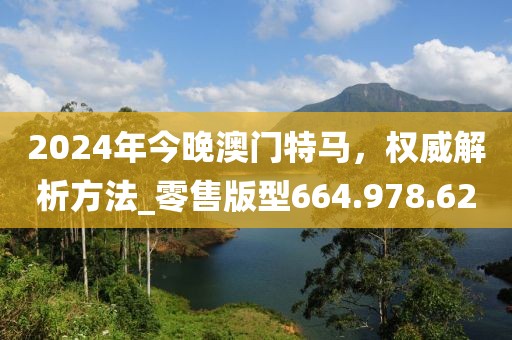 2024年今晚澳门特马，权威解析方法_零售版型664.978.62