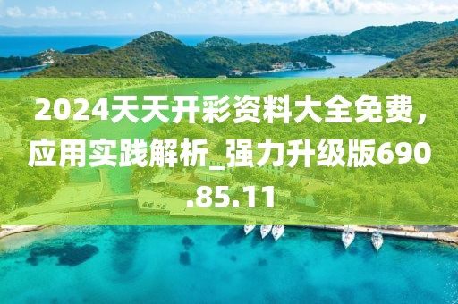 2024天天开彩资料大全免费，应用实践解析_强力升级版690.85.11