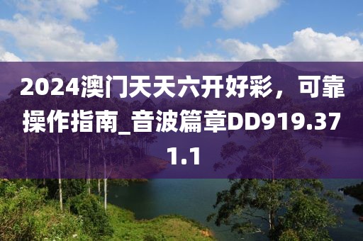 2024澳门天天六开好彩，可靠操作指南_音波篇章DD919.371.1