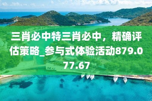 三肖必中特三肖必中，精确评估策略_参与式体验活动879.077.67
