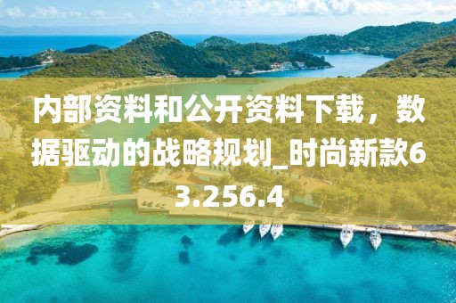 内部资料和公开资料下载，数据驱动的战略规划_时尚新款63.256.4